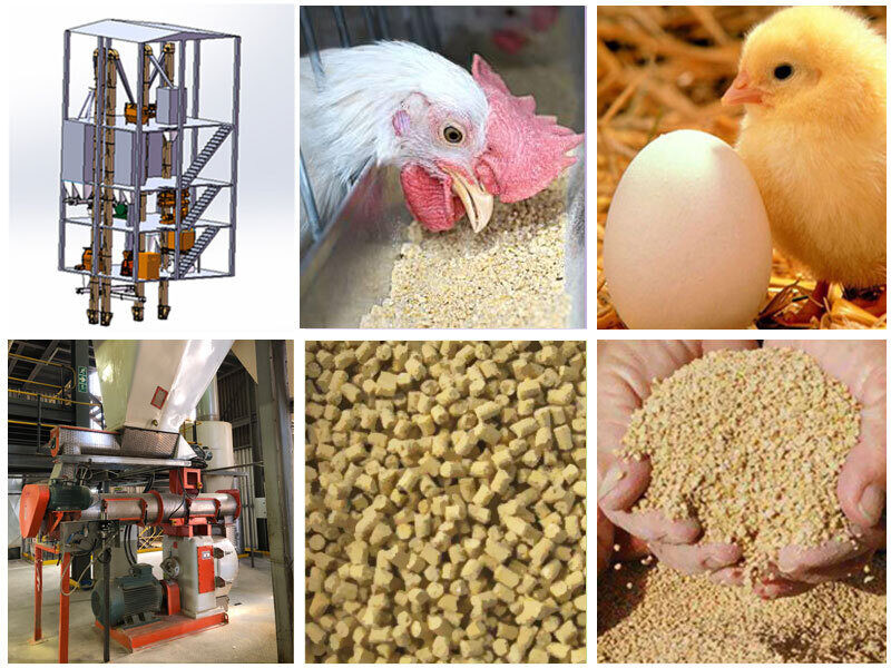 3-5TPH Large Aquatic Ruminant Animal Feed Processing Equipment