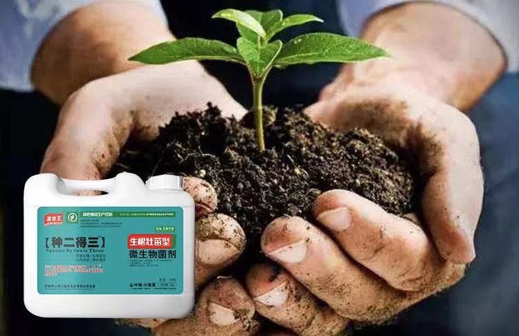 High Solubility Microbial Inoculant Organic Fertilizers For Field Crops