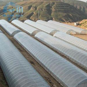 China Polyethylene Film Tunnel Steel Frame Greenhouse Single Span Ground Inserted wholesale