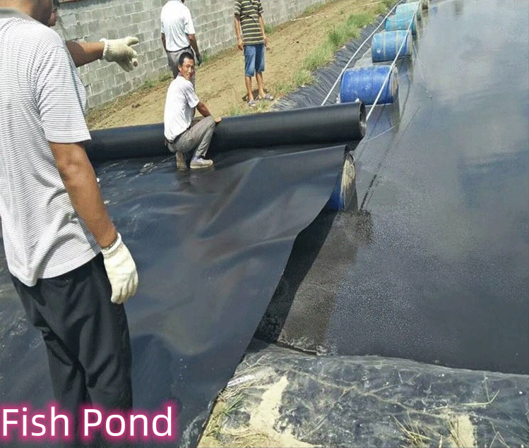 50m-100m/roll Length Anti-Aging Geomembrane for Fish Ponds Online Technical Support