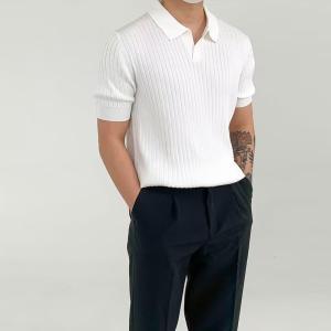 China 2024 Summer Fashion Elegant Trendy Quarter Sleeved Plain Polo Collar T-shirt for Men wholesale