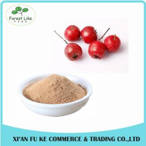 China Natural Hawthorn Berry / Crataegus Fruit Powder wholesale