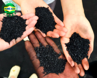 Fast delivery Potassium Humate Granular Manufacturer In China