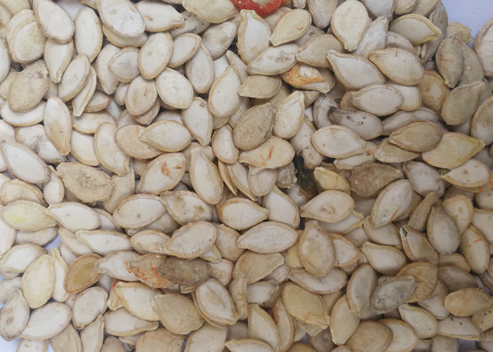 Pumpkin Seed Nuts Color Sorter RGB Full Color For Pumpkin Seeds Hulled