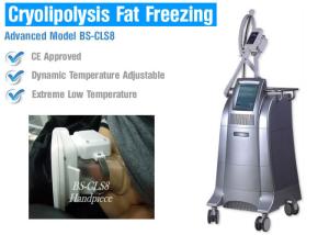 China Cryolipolysis slimming equipment China manufacturer cryolipolysis machine for sale body shaper slimming machine wholesale