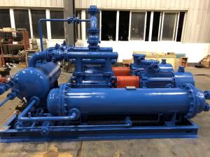China Dual-Purpose Unit Liquid Seal Vacuum Pump Stainless Steel Vacuum Pump Units wholesale