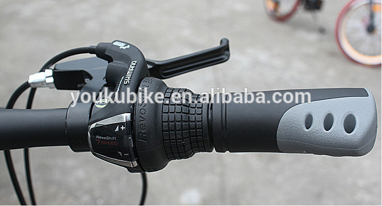 Disc Brake 20 Inch 21 Speed Carbon Steel Mountain Bike