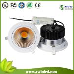 30W COB LED Downlight
