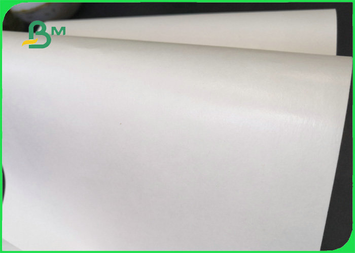 Disposable 300gsm + 10g PE Lunch Box Paper For Food Packing 100% Biodegradable
