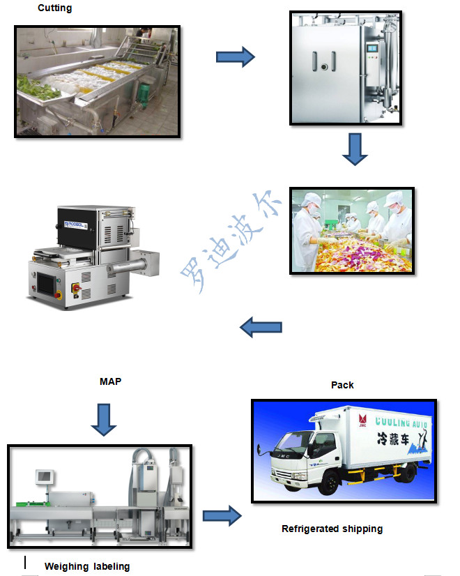 Grain Table Top Tray Sealer Industrial Vacuum Sealer Machine 304 Stainless Steel