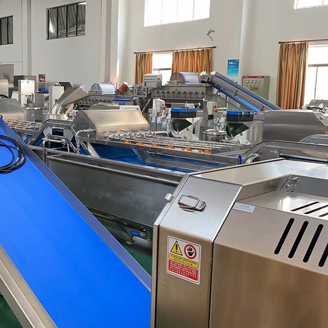 Frozen Food 1000kg/H Fruit Vegetable Washing Machine