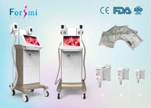 China 15 inch big screen cryolipolysis slimming machine in best price wholesale