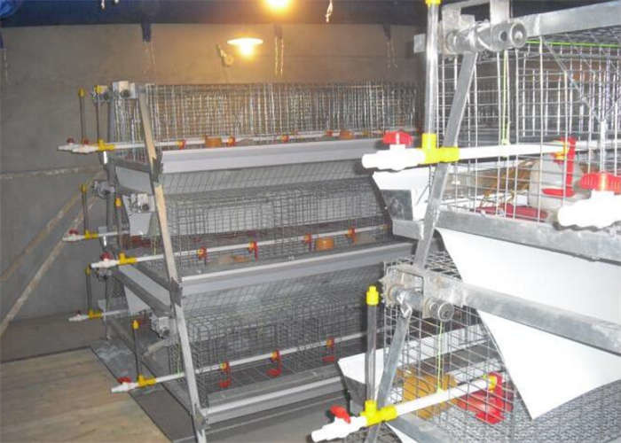 Laminated Egg Laying Chicken House