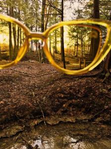 China Cat Eyes Scratch Resistant Yellow Colour Therapy Sunglasses wholesale