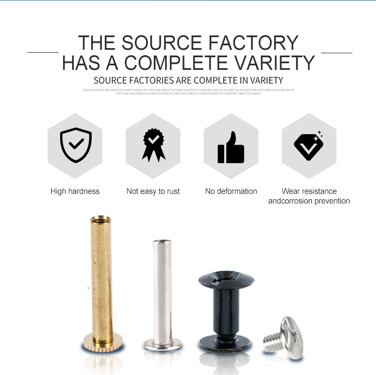 Customized Stainless Steel Pan Head Chicago Screw for Leather Belt and Book Binding
