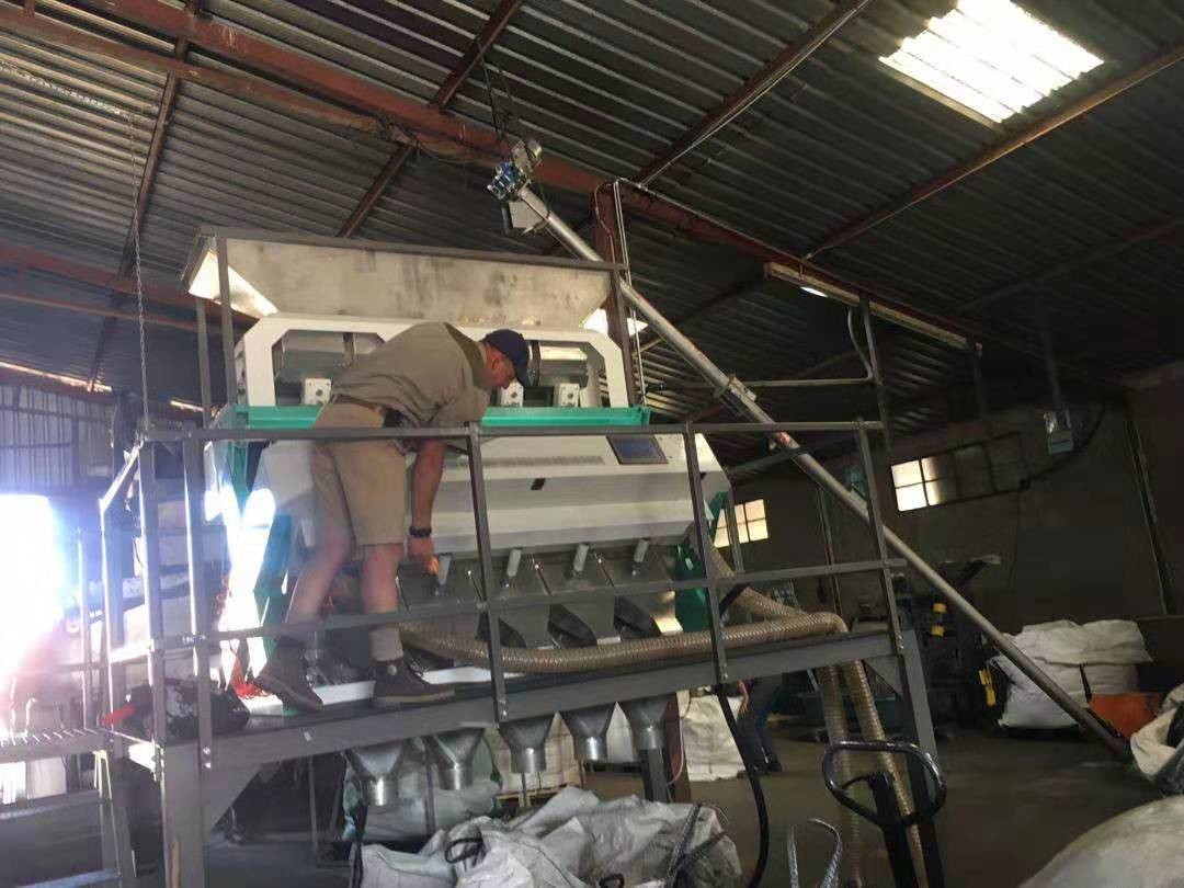 Champion Popular and Factory Price Multifunction Color Selector Machinery