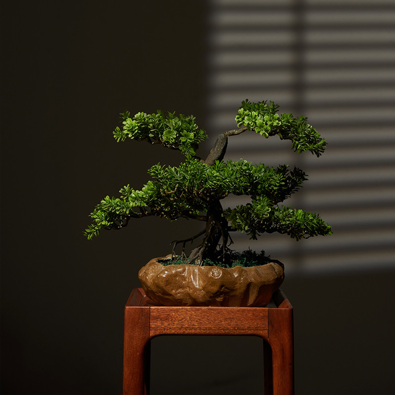 OEM High Imitation Artificial Landscape Trees For Airports