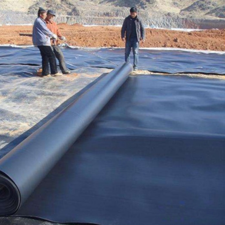 High Density Polyethylene EVA Fish Pond Liner 0.5mm 1mm for Modern Design Style as per