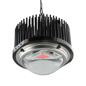 China 50W DOB Homemade Led Grow Lights , Cob 1M2 Full Spectrum Grow Light Kits wholesale