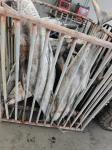 HACCP Approved 10 - 20KG Frozen Yellowfin Tuna WR