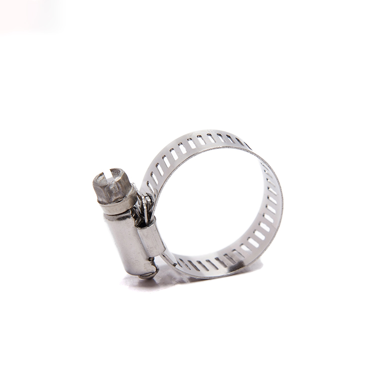 DIN3017 sus 304/316 M33.1 large diameter wing nut spring type safety quick lock hose bar tube clamp