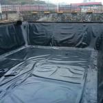 Durable 0.5mm Polyethylene Waterproof Geomembranes for Shrimp Farming