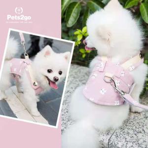 China 500g Easy Walk Dog Leash For Samoyed Golden Retriever wholesale