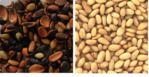 CCD Cameras LED Lamps Cashew Nuts Color Sorter