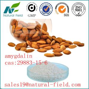 China professional manufacture of Amygdalin wholesale