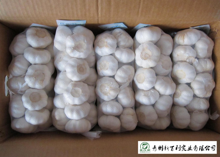 HACCP / GAP Standard Chinese Garlic 4.5 / 5.0 Cm Size Own Plantation