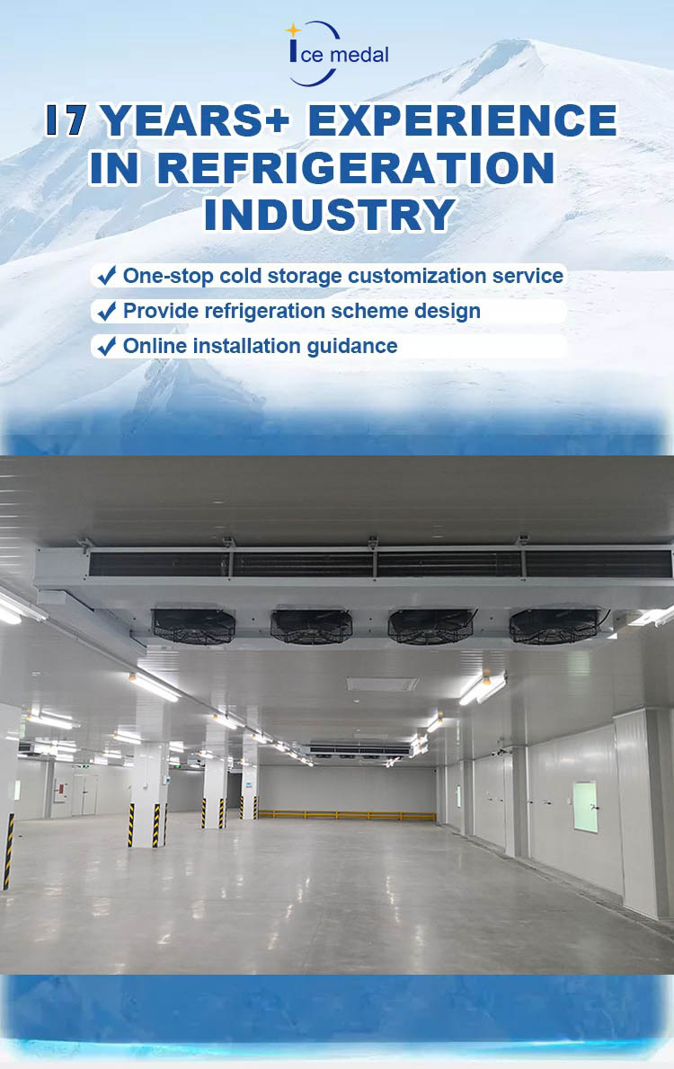 Customized commercial Walk In Blast Cold Room Freezer R404a or R22 For Frozen Fish
