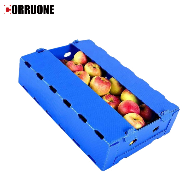 PP Corrugated Sheet 2mm PP Hollow Construction Board