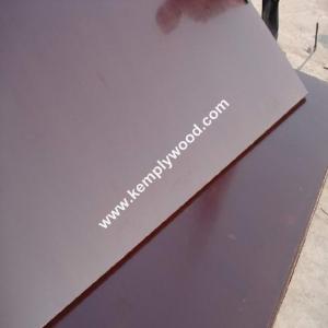 China 18MM brown film faced plywood, phenolic &amp; wbp brown film faced plywood,brown film faced plywood made in linyi wholesale
