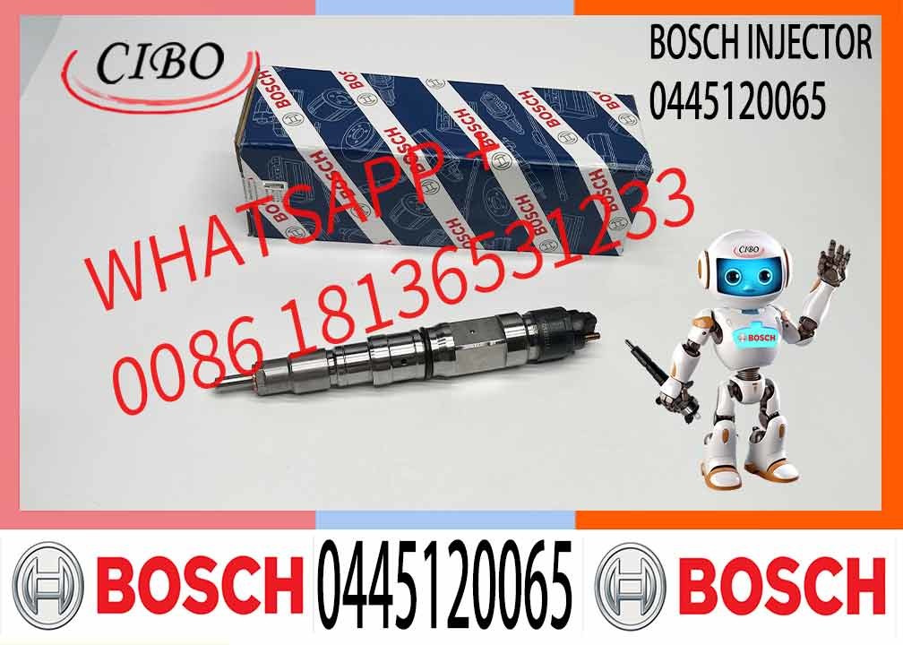 Common Rail Fuel Injector Diesel Injectors 04290988 0986435559 0445120065