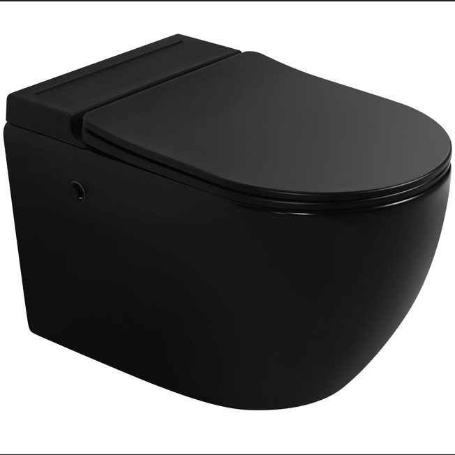 Modern Water Closet Inwall Glazed Ceramic Matt Color Basin Rimless Wall Mounted Bowl Hung WC hang Toilet Sets