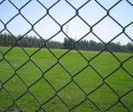 3mm 12 Gauge Chain Link Fence Pvc Coated Green 6x50