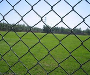 China 3mm 12 Gauge Chain Link Fence Pvc Coated Green 6x50 wholesale