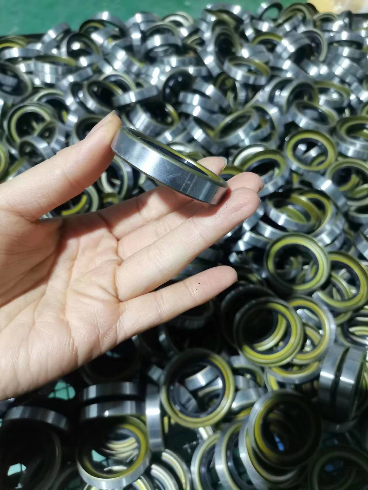 Double Lip Skeleton NBR FKM Silicone TC SC TG TB DC TCV TCN Cassette Combi Reducer Rotary Shaft Oil Seal