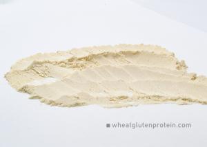 China Light Yellow Dried Vital Wheat Gluten Powder , Food Grade Organic wholesale