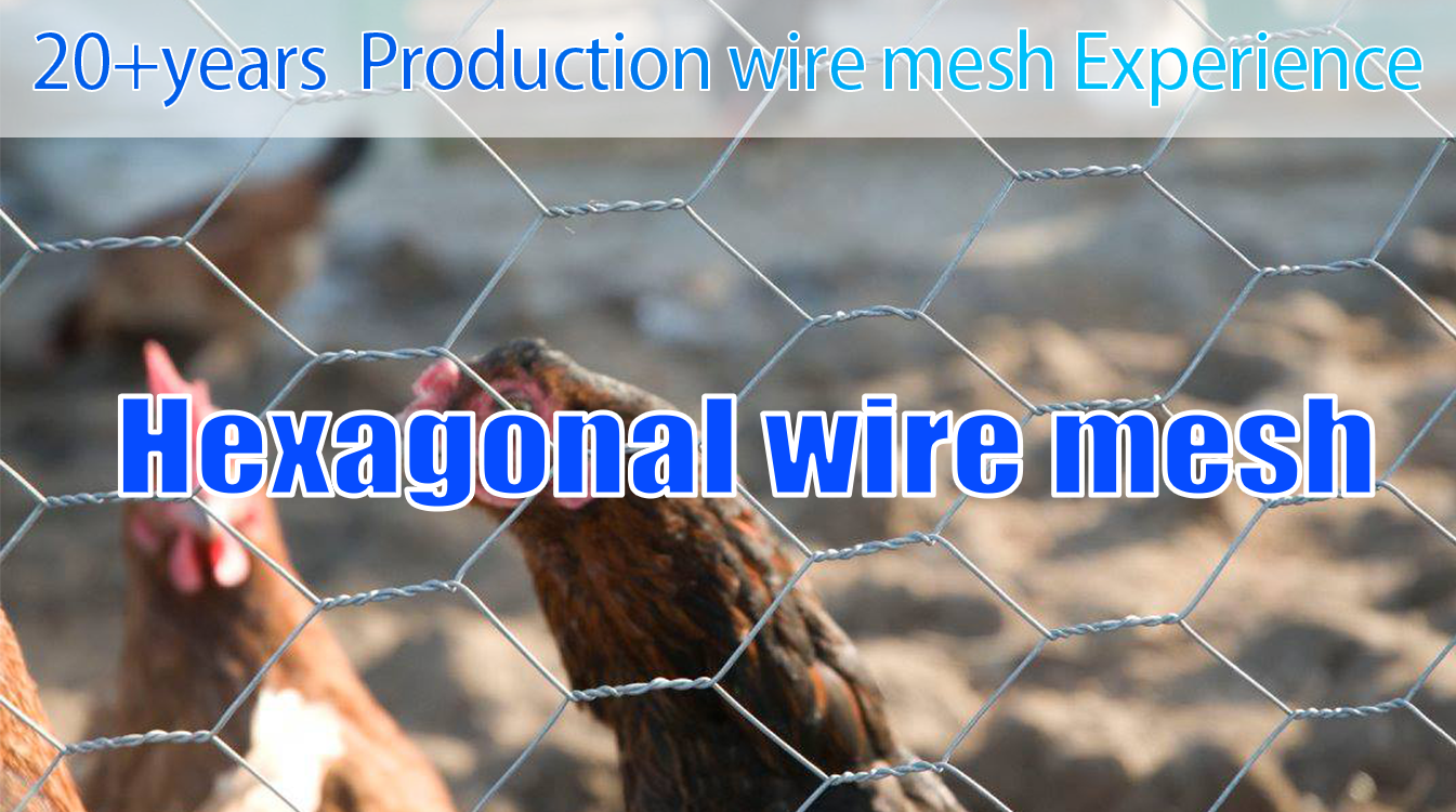 Chicken Mesh Hot Dipped Galvanized Hexagonal Wire Mesh/chicken Wire/pvc Coated Chicken Wire Netting 3/4 Inches