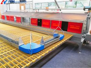 China Steel Poultry House Equipment Automatic Customized Broiler Feeding System wholesale