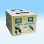 AC 110V 220V DC 12V 100Ah 24V AGM Battery Charger Lead Acid 50A 36V 48V Battery