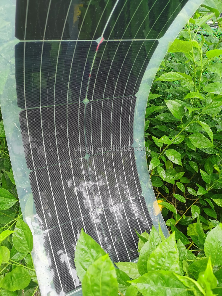 30W 40W 50W 60W 80W Solar Panel PET Semi Transparent Solar Panel 1000V