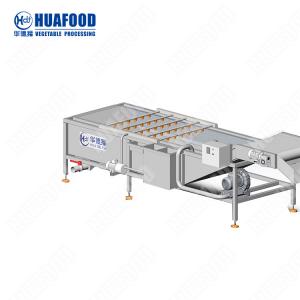 China Industrial Carrot Vegetables Washing Machine Miswak Cleaning And Air Drying Line  Potato Washer Sweet Potato Cleaning Equipment wholesale