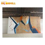 Training Rope Speed Climbing Wall Outdoor Indoor Waterproof For School Gym