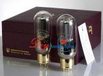 HIFI Tube Amplifiers For Home Audio , Premium Valve Digital Tube Amp PSVANE 845