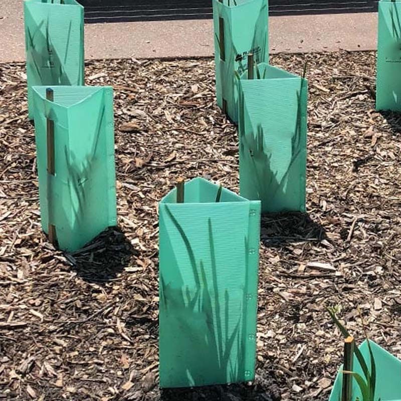Corflute Plantra Tree Protectors PP Corrugated Tree Guard Tubes