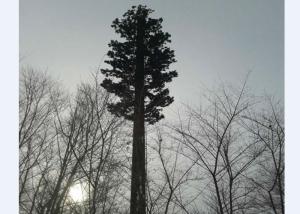 China Camouflaged Bionic Pine Palm Tree Monopole Tower wholesale