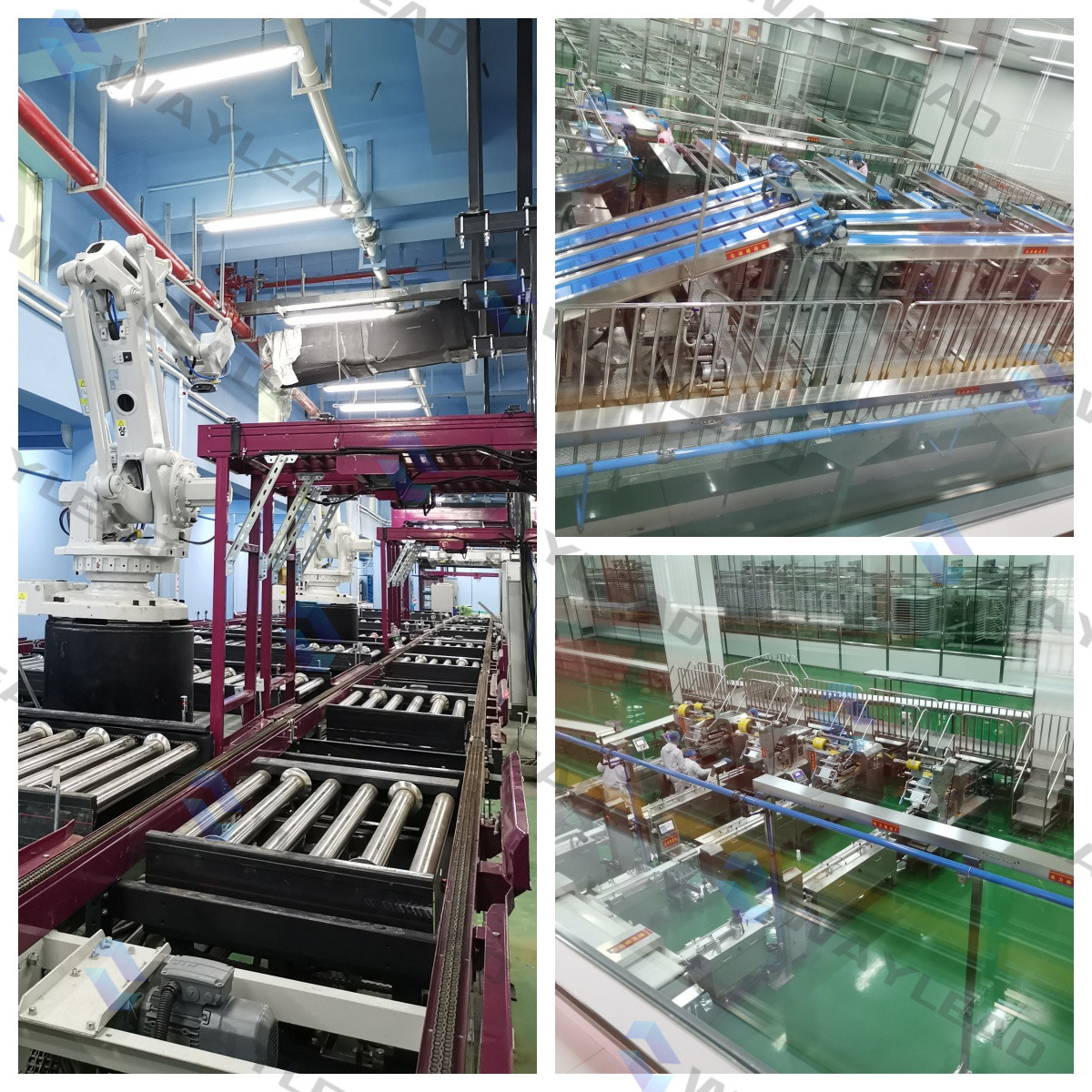 Automatic Biscuit Packaging Machine User friendly Paper Bag Width 180mm - 430mm