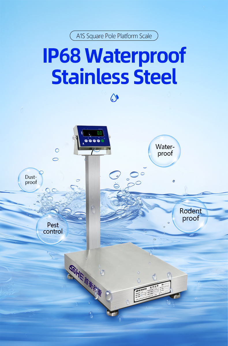 SOHE A1S 500KG 500*600 Stainless Steel Platform Scale for Seafood and Food Factories